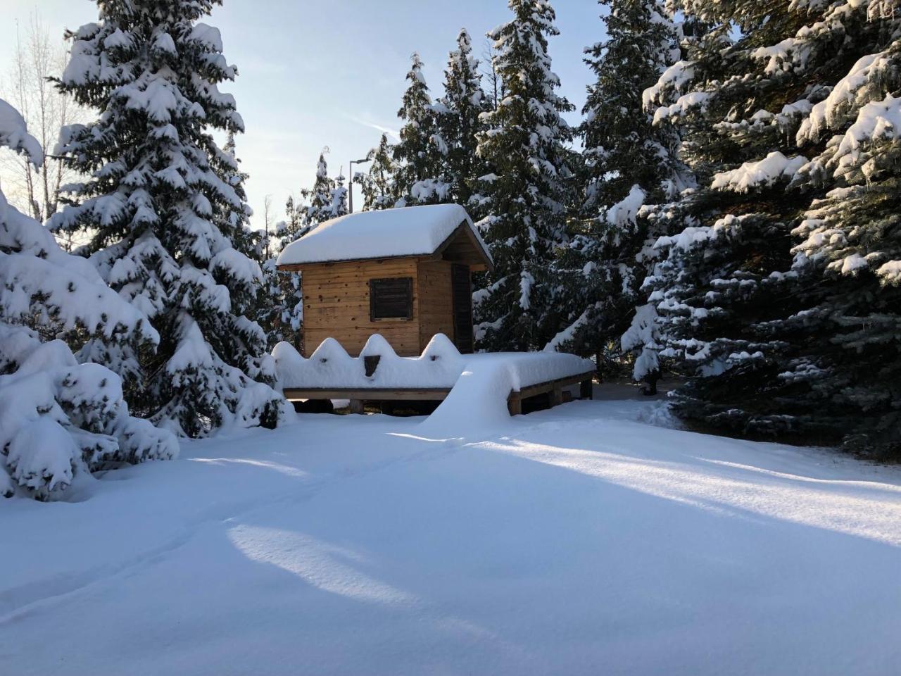 Holiday Home Vila Tejic Zlatibor Zewnętrze zdjęcie